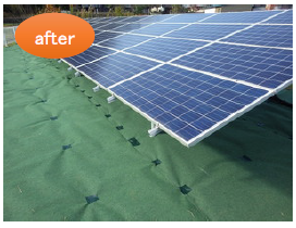 防草効果　10年保証＆クレジット