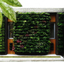 DIY Wall Greening System "Jupi Wall Green"