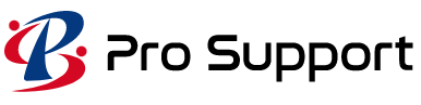 IT人材・技術支援サービス