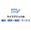 Translation and editing service