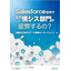 Salesforce活用でなぜ情シス部門が疲弊するの？