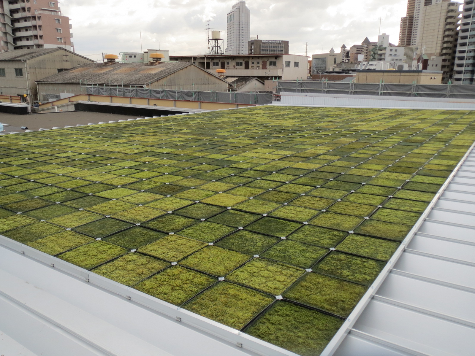 スナゴケ屋上緑化システム『COOLMOSS.jp』 ぴたっとクリエイト | イプロス