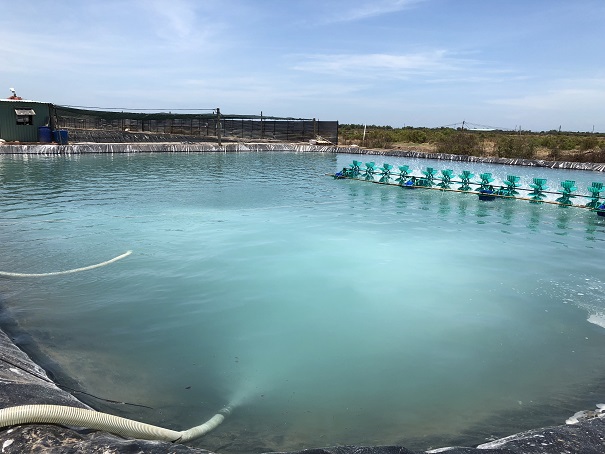 工場の廃水浄化・洗浄工程の効率UPに貢献します