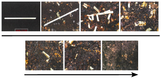 プラスチック代替製品バイオカルシウム材料『GEX』