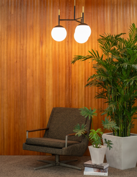 観葉植物リース