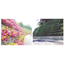 "Greening of Retaining Wall Surfaces" Greenest Rock