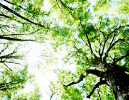 コーティング技術『流動浸積法』