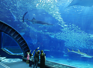 遮音壁『アクリル透光板』