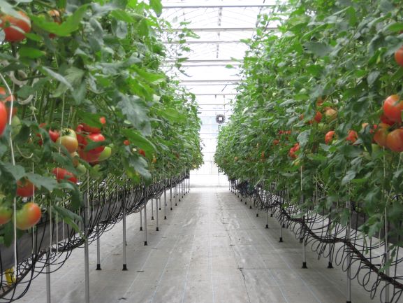 サンラックシステム