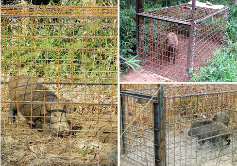 移動組立式捕獲檻『イノ・シカゲッター』