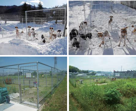 獣害防止柵(簡易防護柵)『WMドッグラン』