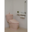 Simple Water Wash Toilet RONCLEAN DX-570