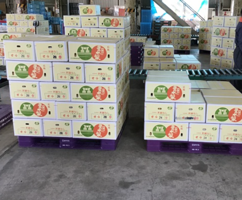 【2024年問題対策】出荷作業の負担減少・時間短縮