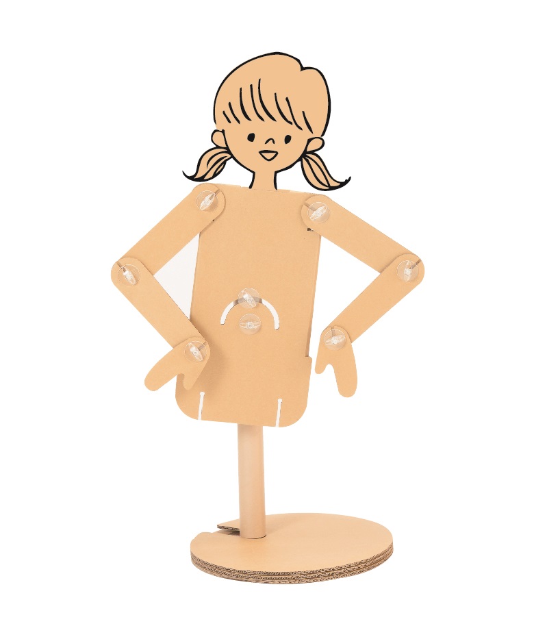 【ダンボールマネキン パピルス】キッズ　半身（卓上用）
