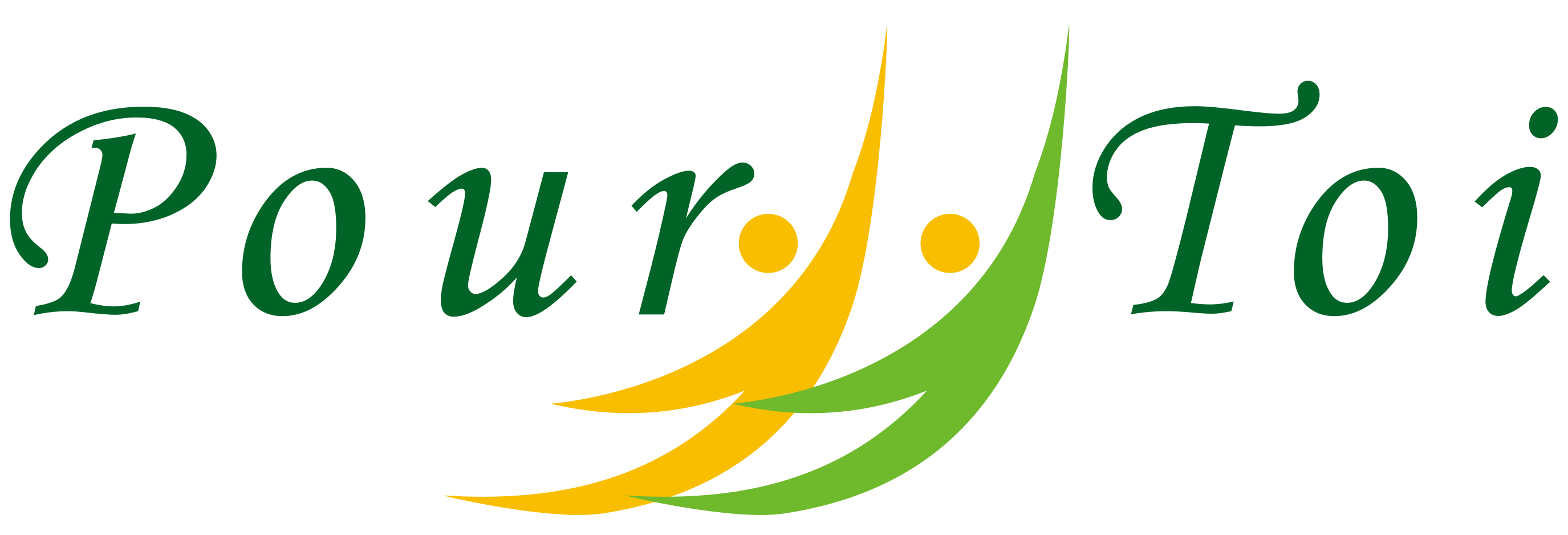 資金調達コンサルティングサービス