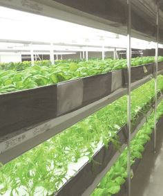 株式会社アグリライト研究所　事業紹介