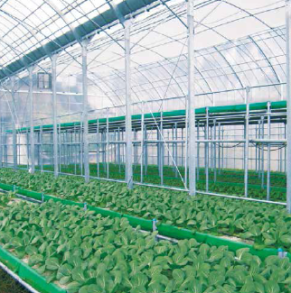 高床式砂栽培農業施設『トレファーム(R)』