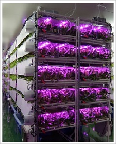 高機能性野菜生産LED栽培システム『AGRI Oh！』