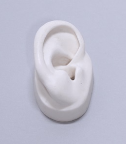 【硬質ウレタン製作事例】模型(耳)