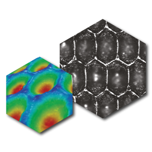 フレキソ印刷革命特殊セラミックコーティングアニロックス