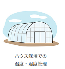 ハウス栽培、ビニールハウスでの遠隔監視キット 導入事例