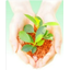 High purity hydrocarbon-based solvent "Swaclean 150"