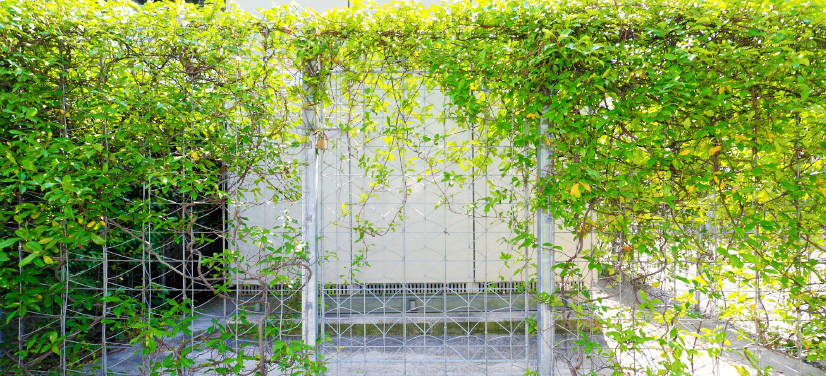 5×緑スタンダードワークス『グラスダイヤモンド 門扉』