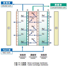 電気透析原理.jpg