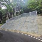 NRN2.jpg