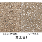からっと（黄土色2）.jpg