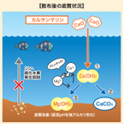 2.底質改善メカニズム.jpg