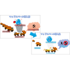 マッドスベール導入前後イメージ.png
