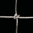 zenox_05_g-e1650605058940.jpg