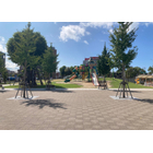 加治屋まちの杜公園-Y.JPG