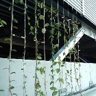 ワイヤー立駐事例.JPG