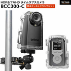bcc300c.jpg
