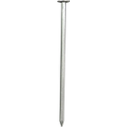 大頭釘（150）.png