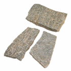 CRAZYPAVING_G1006.jpg