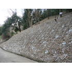 画像 004.jpg