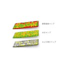 ハイブライト写真?_20210115.jpg
