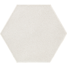 PAPRICA_thmT8407.png
