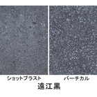 ザ・擬石（遠江黒）.jpg