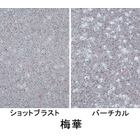 ザ・擬石（梅華）.jpg