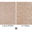ザ・擬石（柑）.jpg
