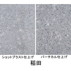 ザ・擬石（稲田）.jpg