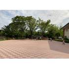 橘公園-Y(神奈川県川崎市).jpg