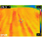 FLIR2116.jpg