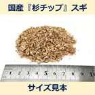 sugi_chip_size.jpg