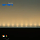 RGB-WW