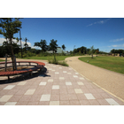 門池公園-Y1.jpg